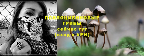 тгк Инсар
