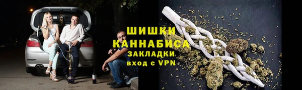 тгк Инсар