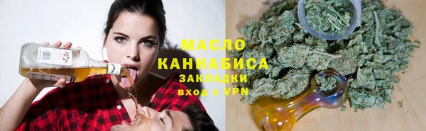 тгк Инсар