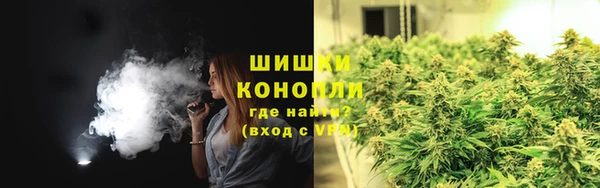 тгк Инсар