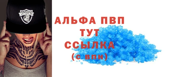 тгк Инсар