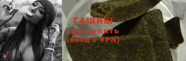 тгк Инсар