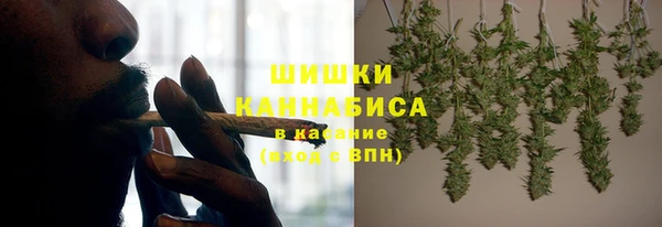 тгк Инсар