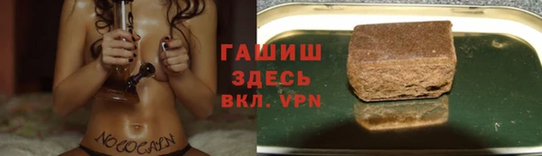 тгк Инсар