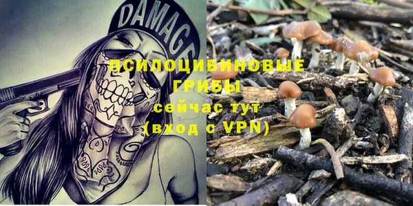 тгк Инсар
